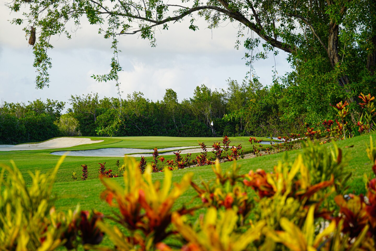Flowers & Tree Surrounding Green - 2024 - Mayakoba Invitational (11).jpg