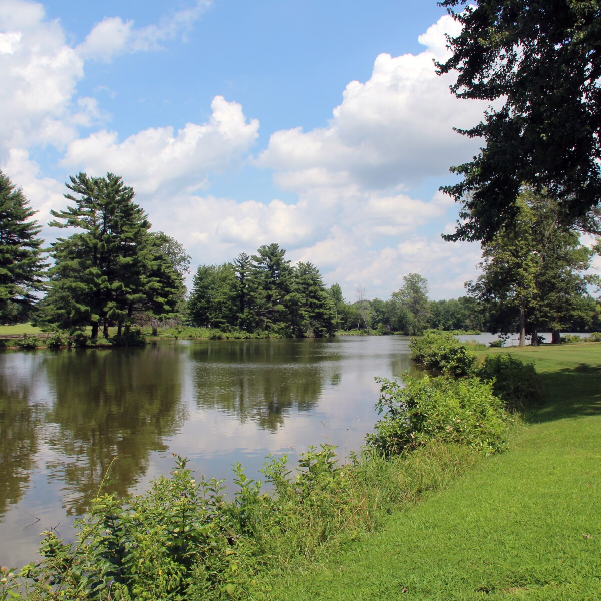 Ajga Junior All Star At Quail Creek Presented By City Of Robinson Golf Tournament Robinson, Il July 2022