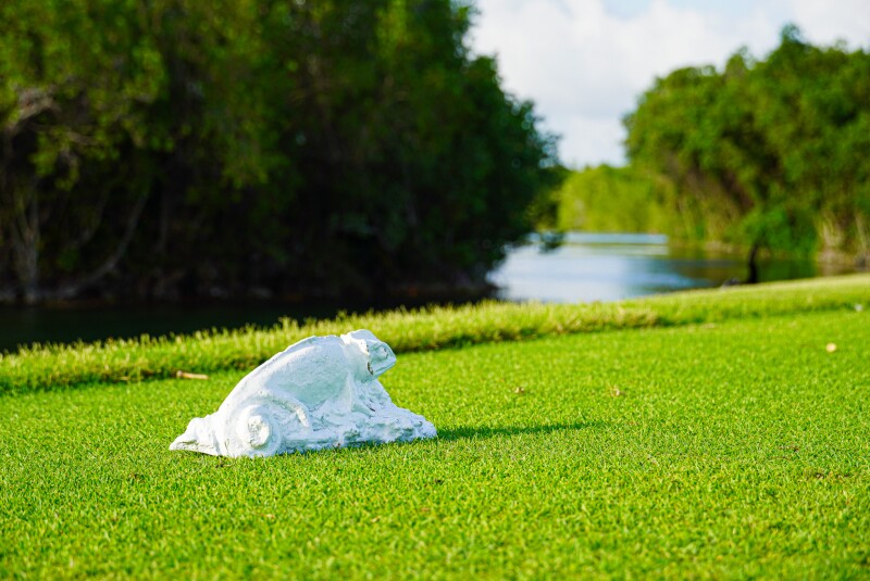 White Tee Marker - 2024 - Mayakoba Invitational (1).jpg