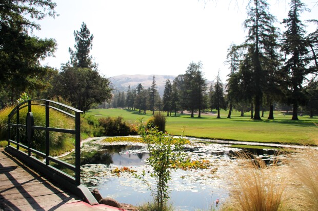 San Jose Country Club Course Photography - 2019 - AJGA Junior at San Jose presented by Live View Golf1.jpg