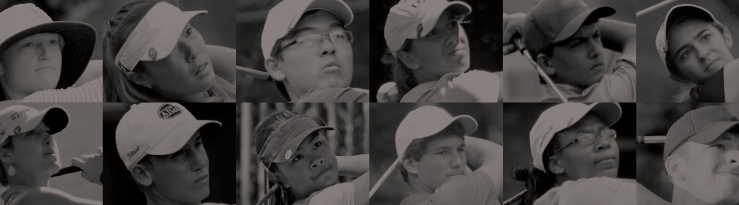 ace grant page heading background