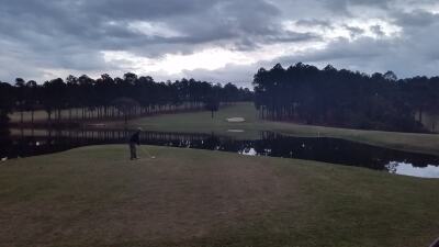 WildeWoods Course Image