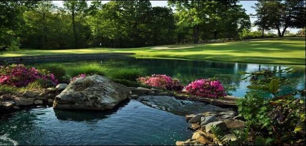 Links_at_stoney_point.jpg