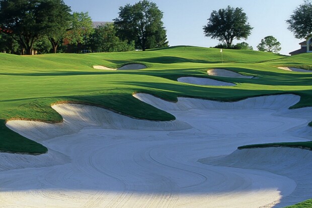 The Nelson Golf & Sports Club - TPC Las Colinas - Course Image