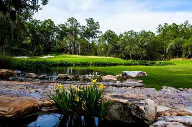 The Concession Golf Club - Course Image